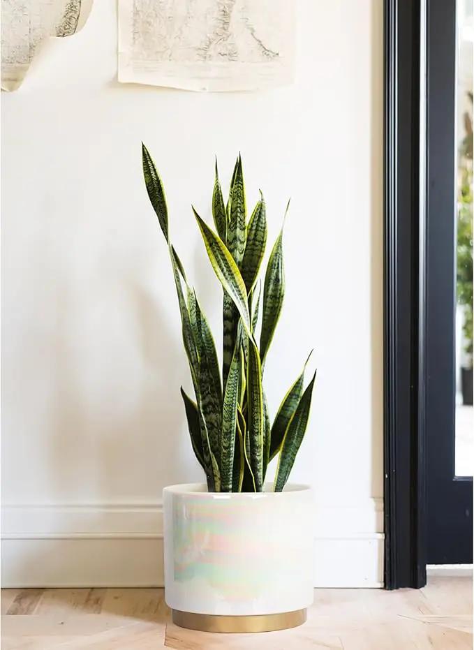 Gepege White Indoor Pots for Plants, Ceramic Planter with Drainage Hole, 9.6inch+7.6Inch+6Inch. Succulent Orchid Flower Pot - Rainbow Pearl Glaze by GreenHaven Gardens