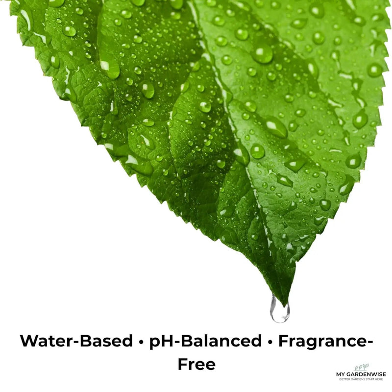 Leaf Shine Spray for Indoor Plants – Plant Leaf Cleaner & Shine for Real House Plants – Fragrance-Free, Non-Sticky, Streak-Free Finish, 16 fl oz by GreenHaven Gardens