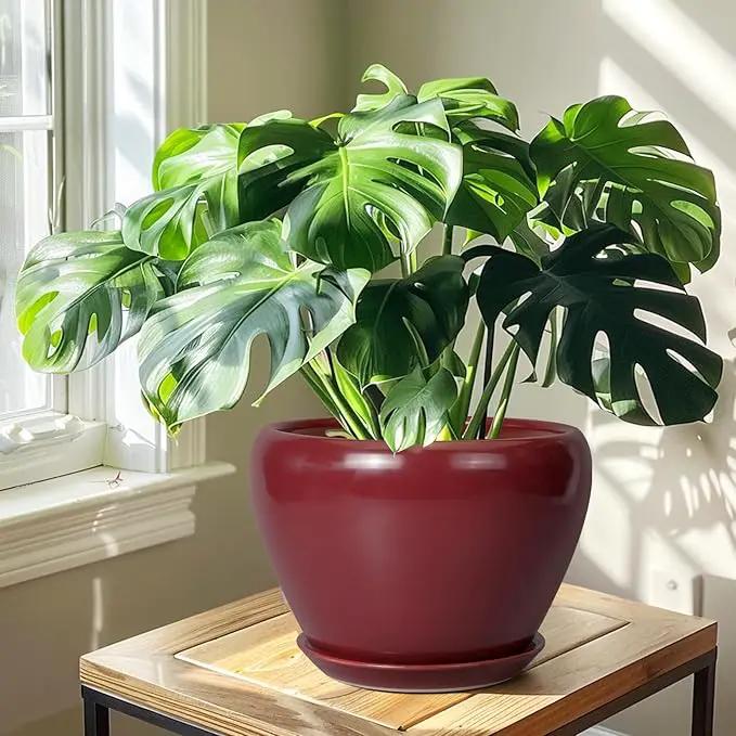 10 Inch Plant Pot - Ceramic Planter Pot with Drainage Hole and Saucer Large Planter for Indoor Plants Round Outdoor Flower Pot Mid-Century Decor Red by GreenHaven Gardens
