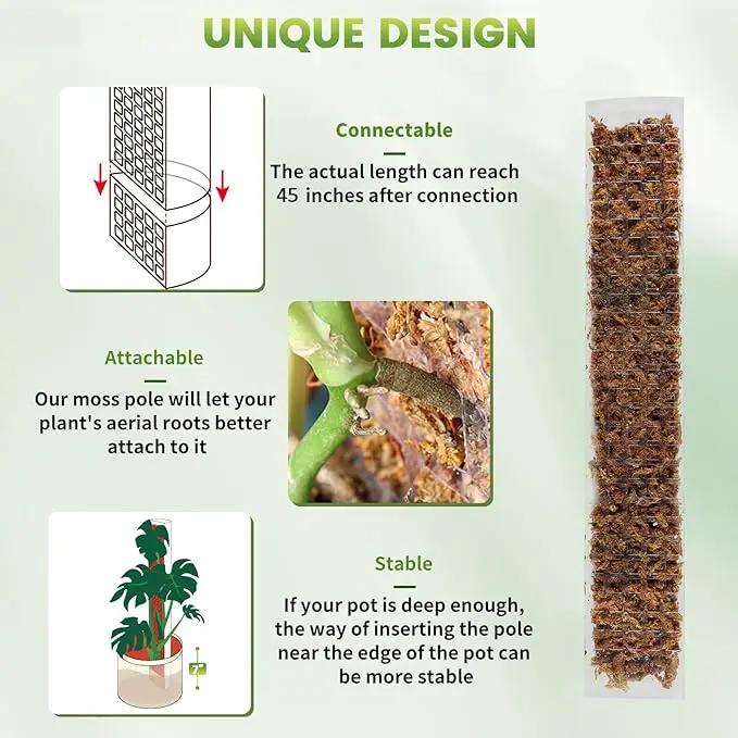 EOX 2 Pcs 24 Inch Plastic Moss Pole for Plants Monstera, Plant Poles for Climbing Plants, Plant Support for Indoor Plants Work with Sphagnum Moss, 45 Inch Moss Pole Set of 2, Garden Ties by GreenHaven Gardens