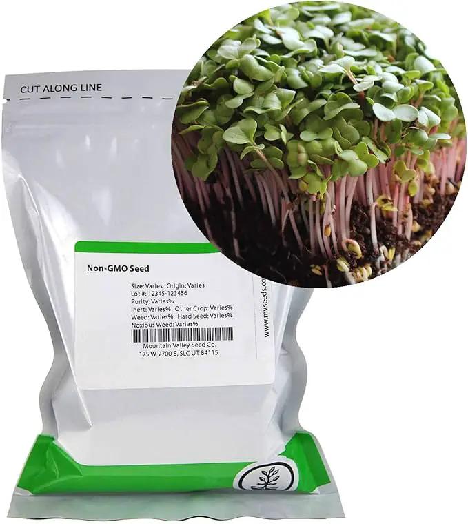 Radish Sprouting Seed - Red Arrow Variety - 4 oz Seed Pouch - Heirloom Radish Sprouts - Non-GMO Sprouting and Micro Greens by GreenHaven Gardens