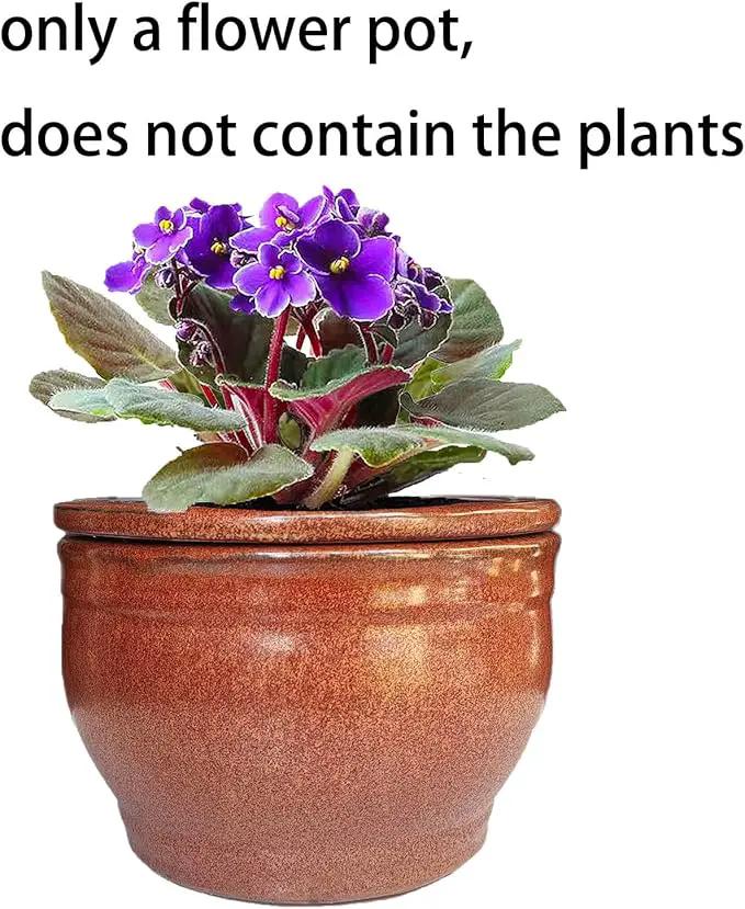 African Violet Pots Self Watering Round Ceramic Violet Pot (Copper, 6 inch) by GreenHaven Gardens