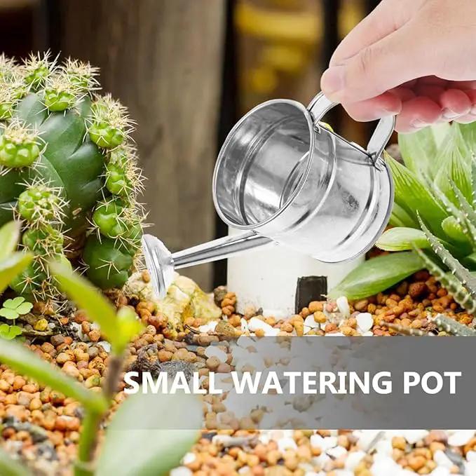 Mini Watering Can: 5pcs Kids Small Watering Can, Metal for Indoor Outdoor Plants, Children Iron for Garden Yard Home Plants Flower by GreenHaven Gardens