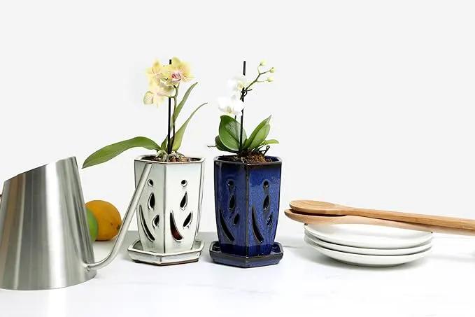 rePotme Orchid Pot, 4 x 6 inch Hexagon Ceramic Orchid Pot with Holes and Matching Saucer (Teal Jade) by GreenHaven Gardens