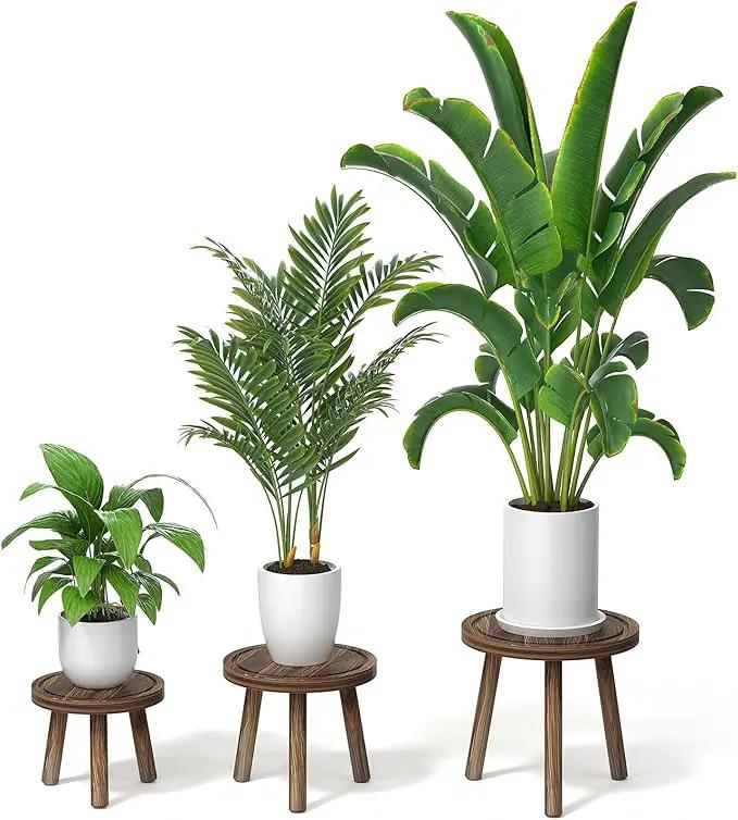 3-Pack Wood Plant Stands Indoor, Single Plant Stand for 6-12 Inch Pots, Mid-Century Modern Plant Stool, Tall Plant Stand for Large Plants for Living Room, Balcony, Office (Dark Brown) by GreenHaven Gardens