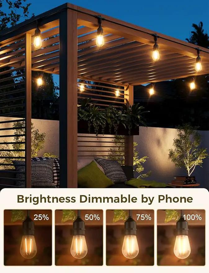 XMCOSY+ Smart Outdoor String Lights, 123Ft LED Patio Lights Waterproof IP65, App Control, Compatible with Alexa, Dimmable Edison Bulbs Outdoor Light for Yard Porch Bistro Outside by GreenHaven Gardens
