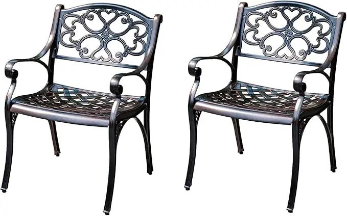 Outdoor Dining Chair Cast Aluminum Patio Chairs Set of 2 All-Weather Patio Dining Chair with Adjustable Feet for Backyard Garden (Die-Casting B Chair) by GreenHaven Gardens