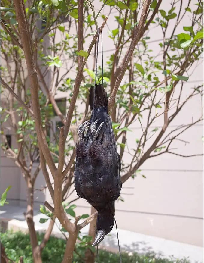 Etistta 17 inch Realistic Hanging Dead Crows Decoy Lifesize Extra Large Black Feathered Crow by GreenHaven Gardens