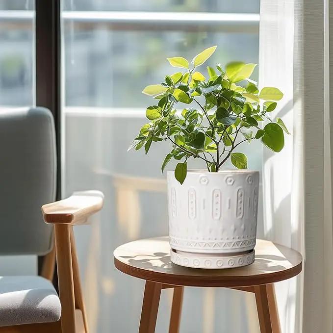 Ceramic Planter for Indoor Plants - 8 Inch Plant Pot Outdoor Flower Pot with Drainage Holes and Saucer Modern Round Planter Succulent Pot for Home Garden Decor White by GreenHaven Gardens