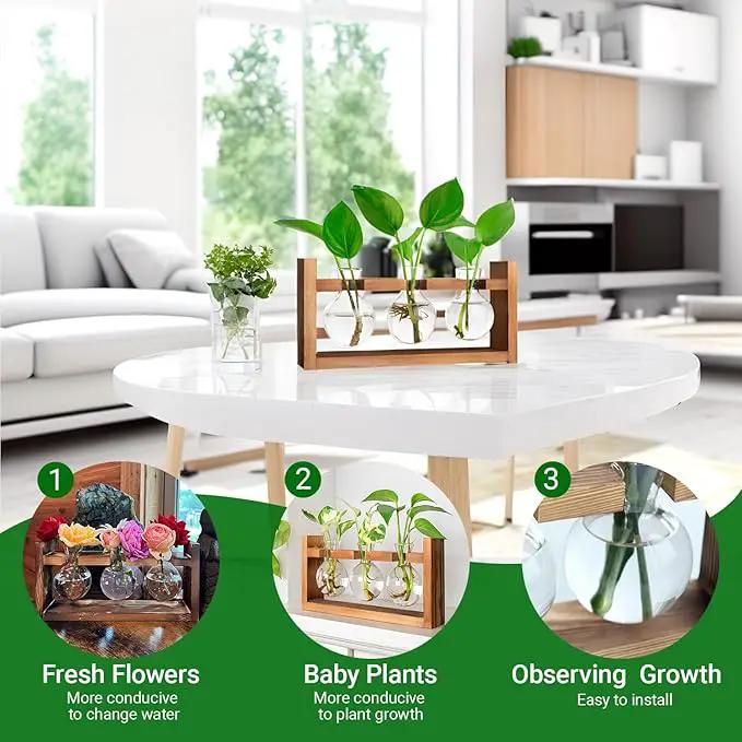 Plant Propagation Station,Plant Terrarium,Plant Starter,Gifts for Plant Lovers,Glass Bulb Terrarium with Retro Solid Wooden Stand for Hydroponics Plants Home Garden Wedding Décor (3 Bulbs) by GreenHaven Gardens