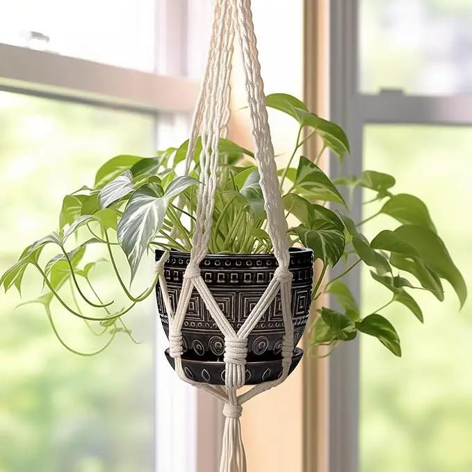 G EPGardening Ceramic Plant Pot - 5.5 Inch Ceramic Planter for Indoor Plants, Boho Round Indoor Flower Pot with Drainage Hole and Saucer, Plant Lover Gifts, Garden Home Room Decor, Black by GreenHaven Gardens