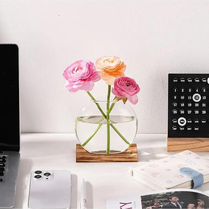2 Pack Plant Propagation Station with Wooden Base Glass Terrariums for Indoor Plants Decorative Round Vases for Flowers Hydroponic Planter for Home Office Decor by GreenHaven Gardens