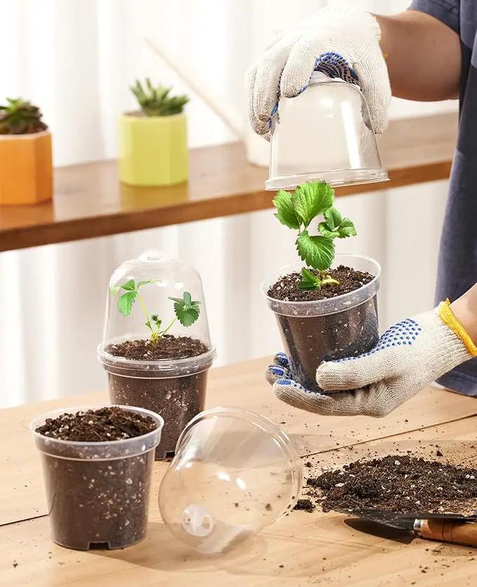 homenote Clear Nursery Pots for Plants,3/4/5 Inch Plant Pot for Planting with Humidity Domes Plastic Seedling with Drainage Holes Seed Starter Flower High Transparency (15 Pack) by GreenHaven Gardens