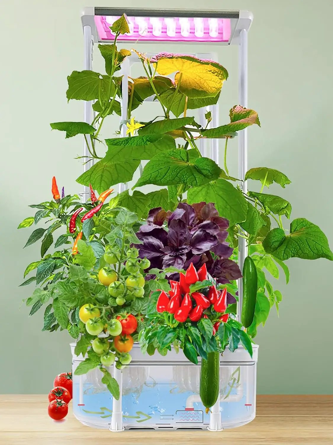 Hydroponics Growing System kit with Trellis,Smart Hydroponic Gardening System with LED Grow Light, Indoor Hydroponic Garden Herb Grow Kit for Short Tomato,Pepper,Cucumber (6200LC) by GreenHaven Gardens