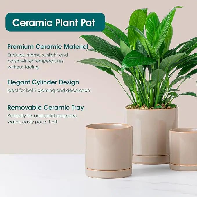 vancasso Ceramic Plant Pots, 3 Piece Planters for Indoor Plants, 4.25+5.25+6.25 Inch Flower Pots with Drainage, Plant Pots Indoor for Succulent, Pothos, Snake Plant and Money Tree, Etc (Gray) by GreenHaven Gardens