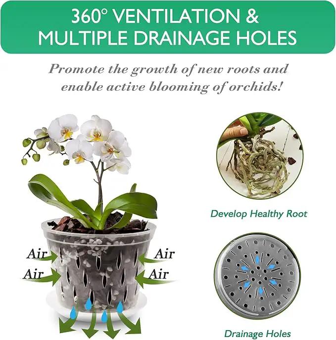 Orchid Plants- 2 Each of 4, 5, 6 and 7 inch- 8 Sets with Saucers, Orchid Pots with Holes and Clear Plastic Orchid Pots for Repotting by GreenHaven Gardens