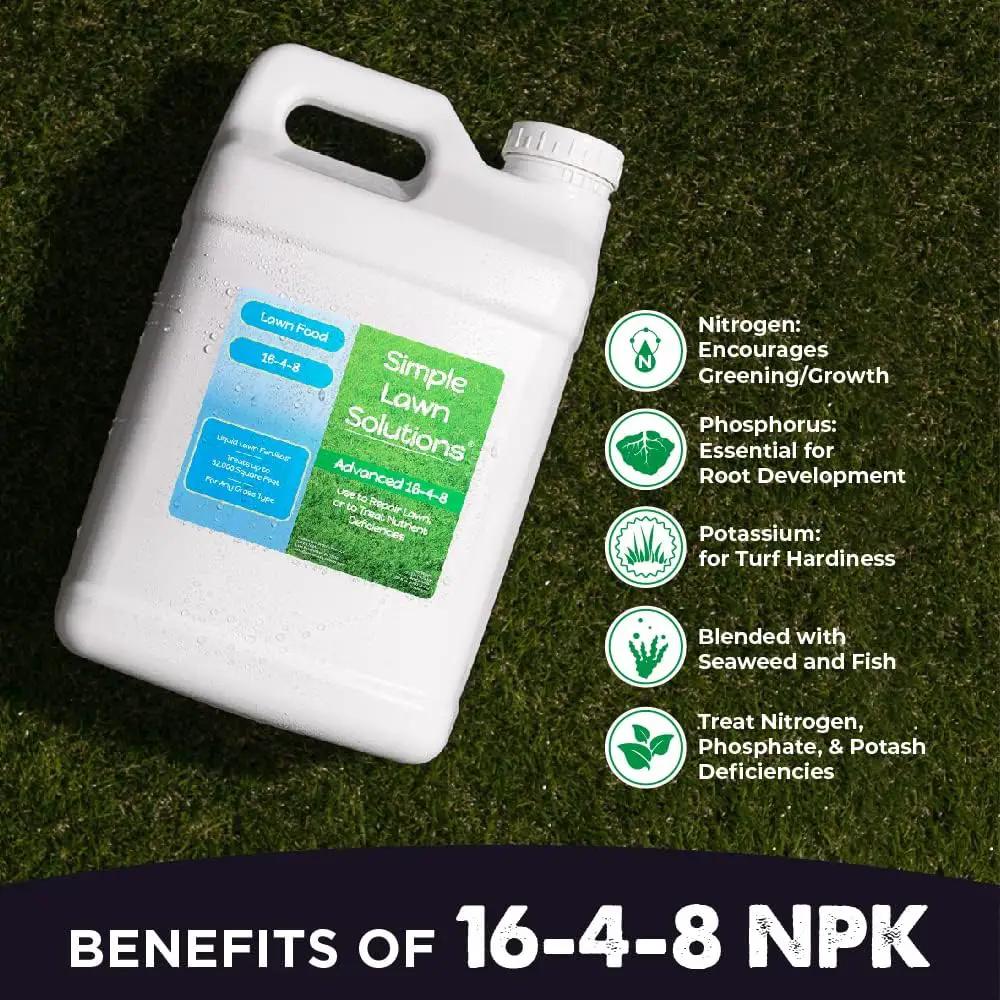Advanced 16-4-8 Lawn Fertilizer - Liquid Lawn Food Spring & Summer Concentrated Spray - Any Grass Type- Fish and Seaweed Kelp- Balanced NPK - Simple Lawn Solutions (2.5 Gallons) by GreenHaven Gardens