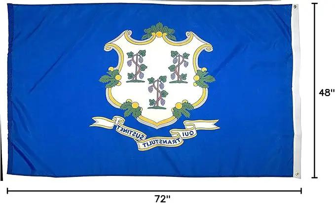 FlagSource Connecticut Nylon State Flag, Made in USA, 4x6' by GreenHaven Gardens