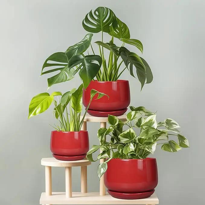 G EPGardening Ceramic Pot for Plants - 6 Inch Plant Pot with Drainage and Ceramic Tray, Modern Living Room Decor, Planter for Housewarming Gifts New Home, Red by GreenHaven Gardens