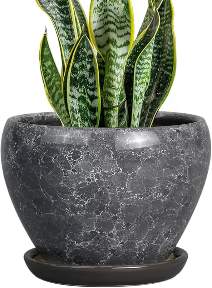 8 Inch Plant Pot - Ceramic Planter Pot with Drainage Hole and Saucer, Glaze Garden Pot Modern Flower Pot for Indoor Plants, Gray by GreenHaven Gardens