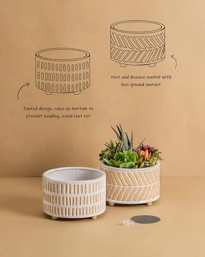 Succulent Pots, 6 Inch Pot for Indoor Plants, Footed Pots for Plants with Drainage, Succulents or Small Plant Indoor Plant Pots, Set of 2 by GreenHaven Gardens