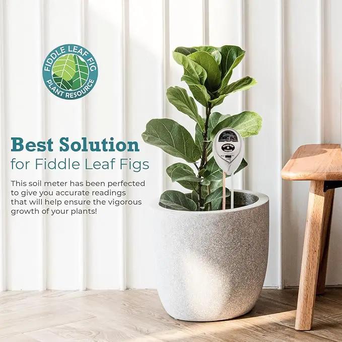 Houseplant Resource Center Fiddle Leaf Fig 3-in-1 Soil Moisture Meter for Plants – Best Indoor Plant Water Meter for Potted Houseplants - Light & Moisture Sensor Probe for Optimal Growth by GreenHaven Gardens