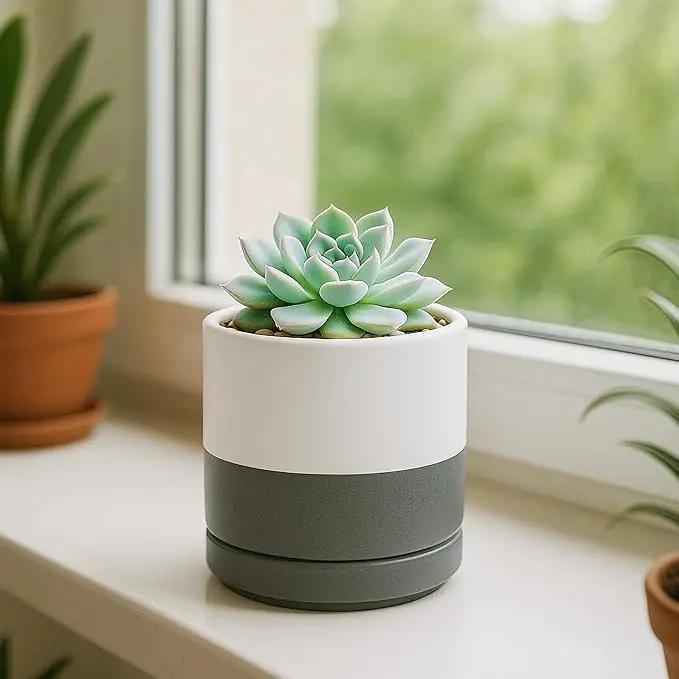 D'vine Dev 3.5 Inch Ceramic Planter Pot with Drainage Hole and Saucer, Indoor Cylinder Round Planter Pot, White/Speckled Grey, 94-O-A-6 by GreenHaven Gardens