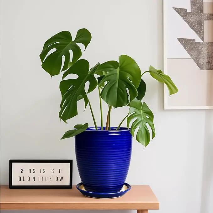 Ceramic Planter Pot - 8 Inch Plant Pot with Drainage Hole and Tray Round Planter Modern Flower Pot for Indoor Outdoor Plants Decorative Garden Pot Blue by GreenHaven Gardens