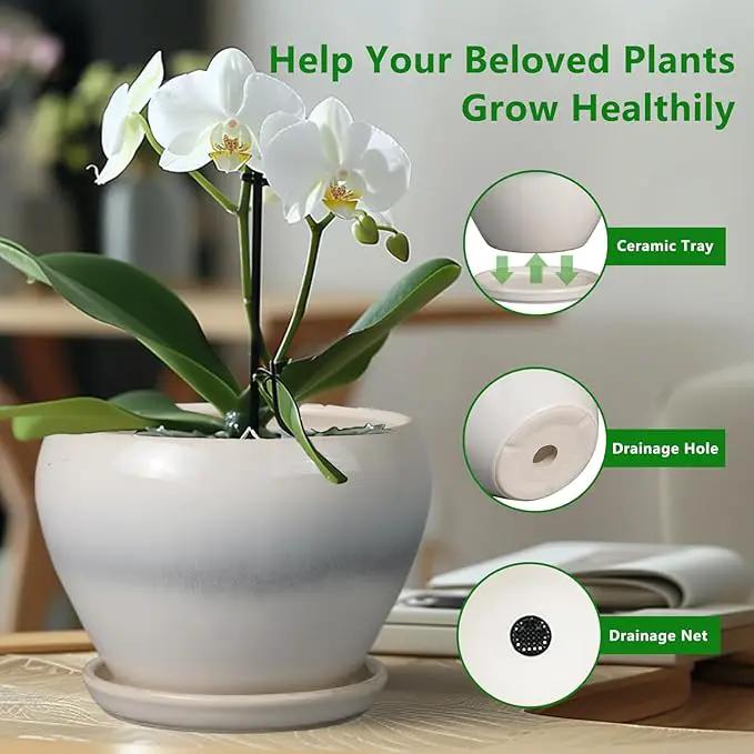 Planter Pot 6 Inch - Ceramic Plant Pot with Drainage Hole and Saucer, Round Glaze Succulent Pot for Plants, White by GreenHaven Gardens