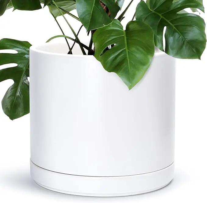 D'vine Dev 14 Inch Ceramic Planter Pot with Drainage Hole and Saucer, Indoor Cylinder Round Planter Pot, White, 94-O-G-1 by GreenHaven Gardens