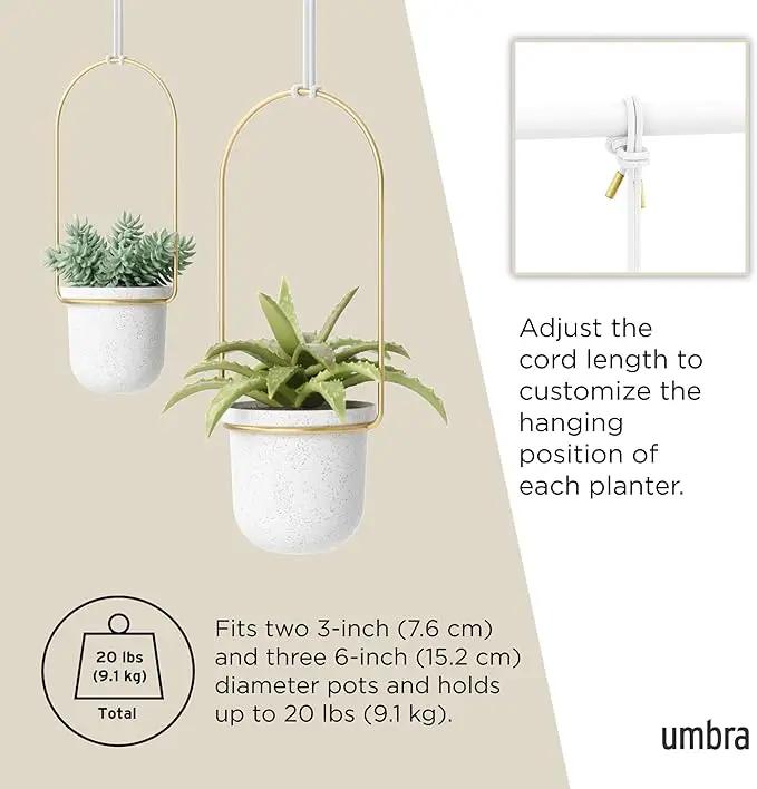 Umbra Triflora Hanging Planter for Window, Indoor Herb Garden, Set of 5, White/Brass by GreenHaven Gardens