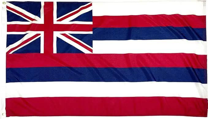 FlagSource Hawaii Nylon State Flag, Made in the USA, 3x5' by GreenHaven Gardens