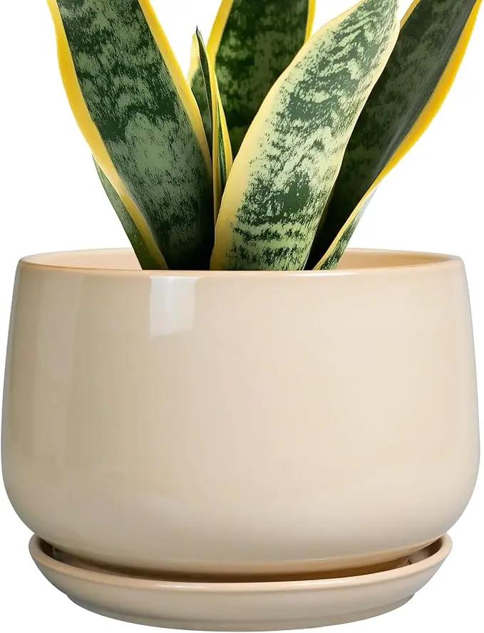 G EPGardening Ceramic Planter - 7 Inch Plant Pots with Drainage and Ceramic Tray, Flower Pots for Indoor Plants, Round Outdoor Planter, Room Decor, Gifts for Plant Lovers, Beige by GreenHaven Gardens