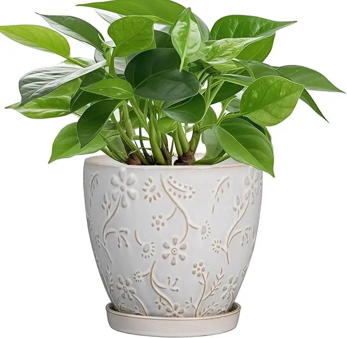 6 Inch Ceramic Plant Pot for Indoor Plants Outdoor Round Planter Flower Pot with Drainage Hole and Saucer for Home Garden Office Decor White by GreenHaven Gardens