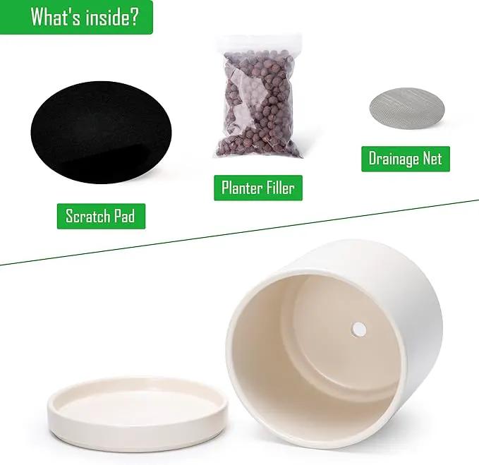 D'vine Dev 8 Inch Ceramic Planter Pot with Drainage Hole and Saucer, Indoor Cylinder Round Planter Pot, Oatmeal, 94-O-D-8 by GreenHaven Gardens