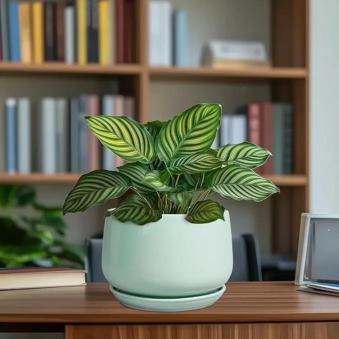 G EPGardening Ceramic Plant Pots - 7 Inch Planter for Indoor Outdoor Plants, Ceramic Planter with Drainage and Saucer, Round Modern Flower Pots, House Decor, Gift for Men Women, Green by GreenHaven Gardens