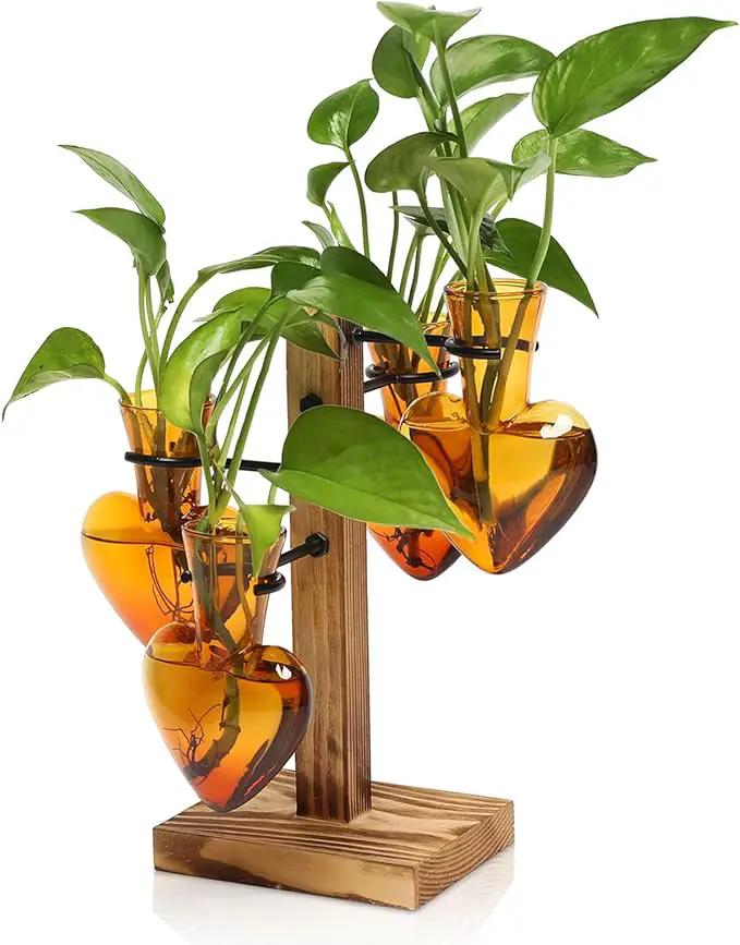 Plants Propagation Stations Plant Terrarium Kit Glass Planters for Indoor Plants House Plant Accessories Gift for Women - 4 Love Bulb Vase by GreenHaven Gardens