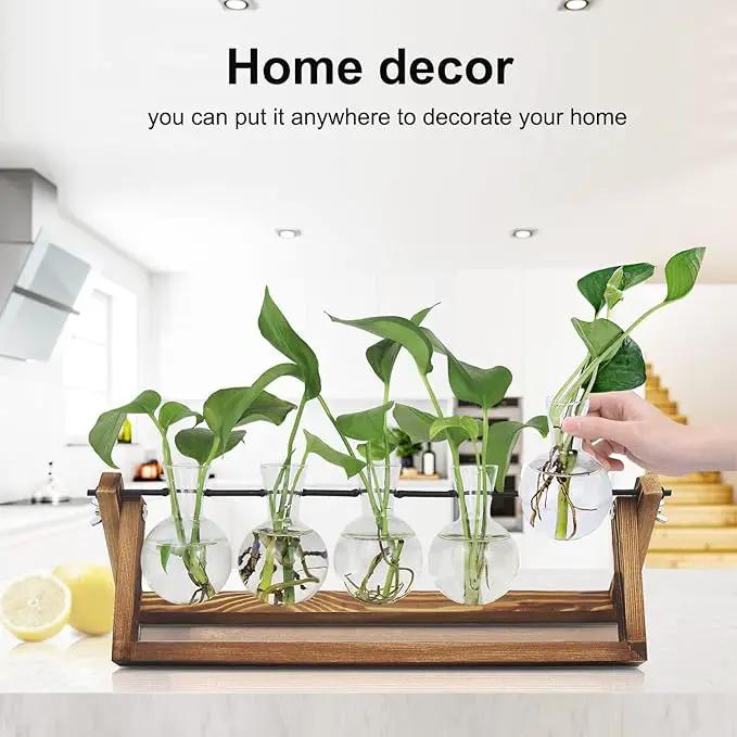 Plant Propagation Station, Propagation Vases for Plants, Unique Gardening Birthday Gifts for Women Plant Lovers Mom Best Friend - 5 Bulb Glass Vases by GreenHaven Gardens