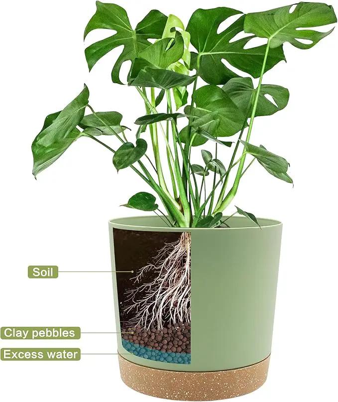 QCQHDU 8 inch Plant Pot, 2 Pack Planters for Indoor Plants with Drainage Holes & Saucer, Outdoor Flower Pots Home Garden Modern Decor by GreenHaven Gardens
