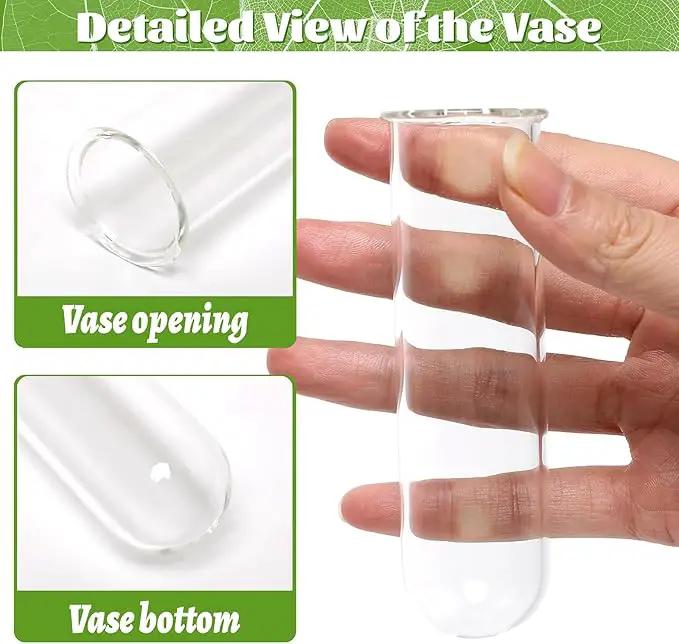 Glass Plant Propagation Station with 5 Test Tubes Planter Vase with Wooden Stand Birthday Gifts for Women Mom Plant Lovers by GreenHaven Gardens