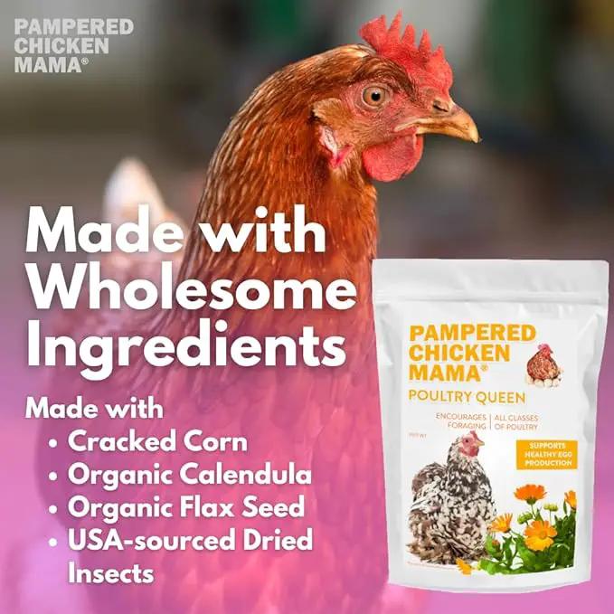 Pampered Chicken Mama Non-GMO Mealworm, Corn, Flax, & Herb Treat (10 Pounds) for Backyard Chickens, Healthy Layer Feed & Supplies for Pet Chickens Poultry Queen Treat for Hens by GreenHaven Gardens