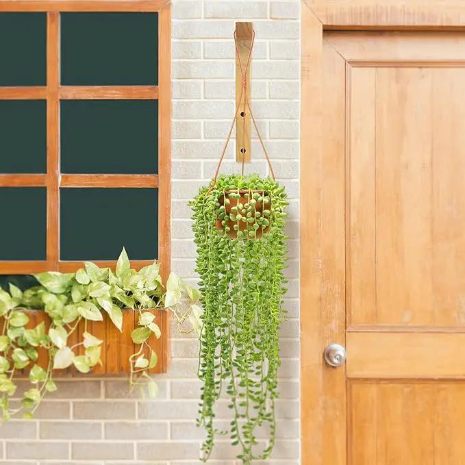 FGSAEOR Plant Hanger, Wall Planters for Indoor Plants, Wooden Wall Mounted Hanging Plant Hooks, Basket Hooks for Lanterns, Flower Bracket, Wind Chimes, Decoration (2-Pack,8-Inch) by GreenHaven Gardens