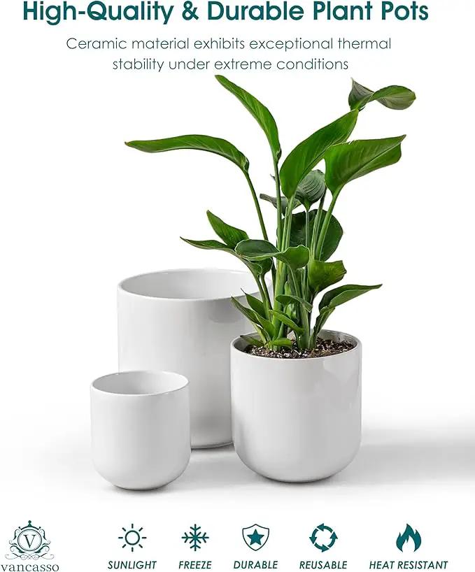 vancasso 6+8+10 inches Ceramic Plant Pots, Set of 3, Planters with Drainage Hole, Flower Pots Planters Pots for Indoor Plants, Modern Indoor Decorative Garden Pot, Home Decor, White by GreenHaven Gardens