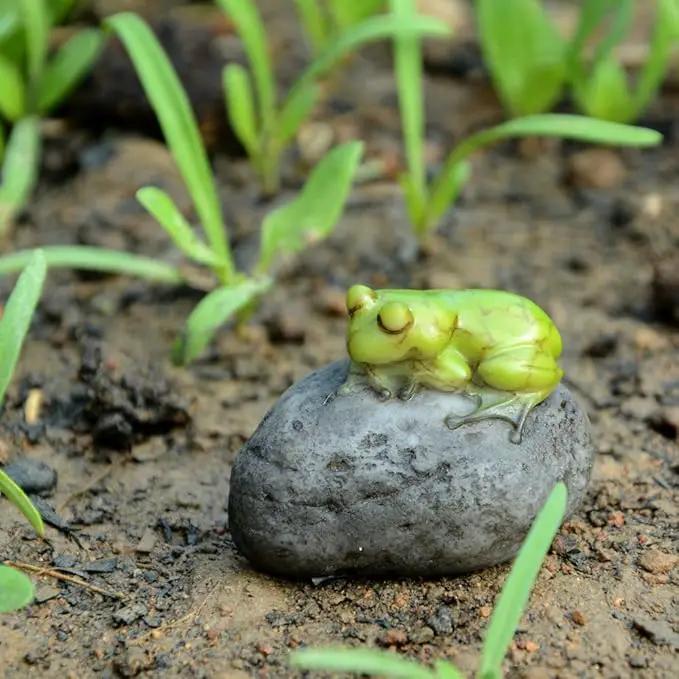 Top Collection Miniature Fairy Garden and Terrarium Statue, Sleeping Cute Frog on Stone by GreenHaven Gardens