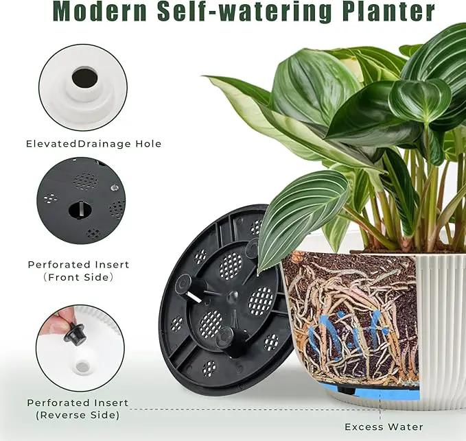 T4U Plant Pots 8 Inch, 2 Pack Self Watering Indoor Planter with Drainage Hole, Shallow Plant Pot, Home Decor Flower Pots for Plants, Herbs, Garden, White by GreenHaven Gardens