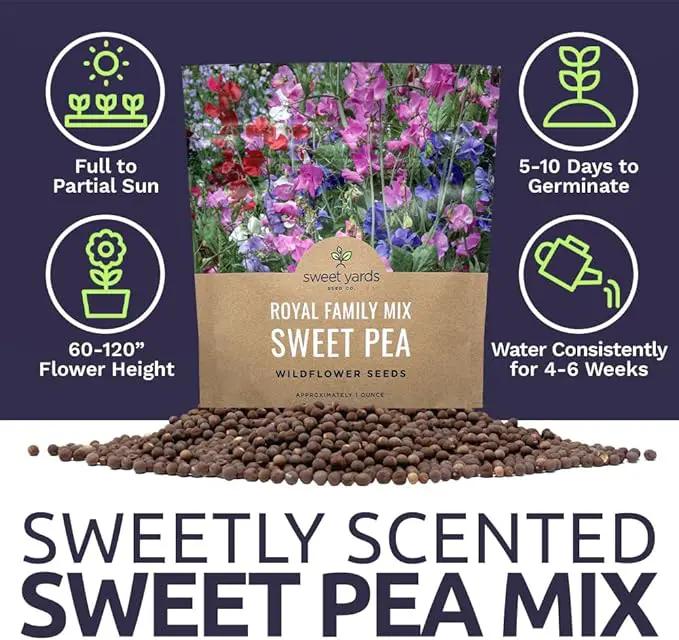 Sweet Pea Seeds Royal Mix - Bulk 1 Ounce Packet - Over 350 Seeds - Large Fragrant Lavender, Purple, Red, Pink and White Blooms by GreenHaven Gardens