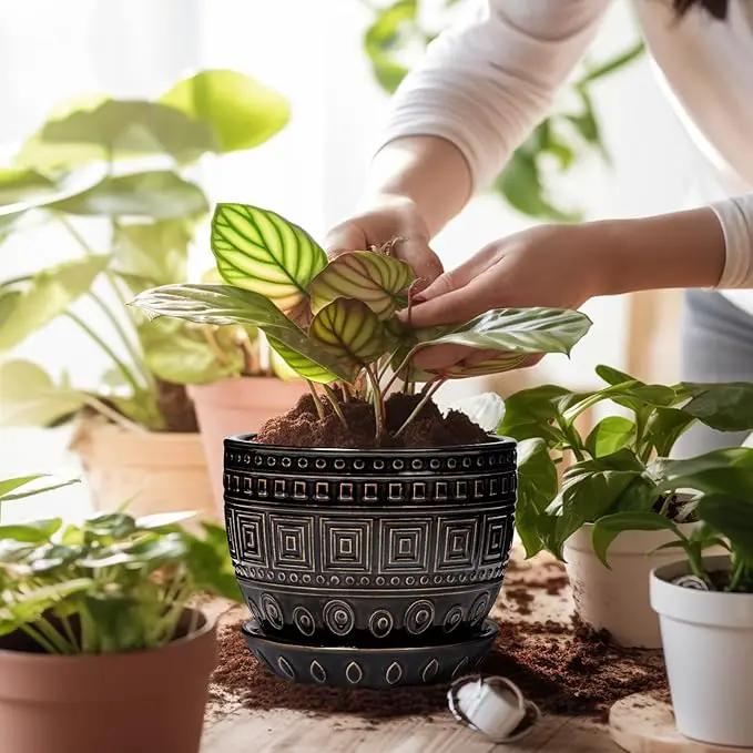 G EPGardening Ceramic Plant Pot - 5.5 Inch Ceramic Planter for Indoor Plants, Boho Round Indoor Flower Pot with Drainage Hole and Saucer, Plant Lover Gifts, Garden Home Room Decor, Black by GreenHaven Gardens