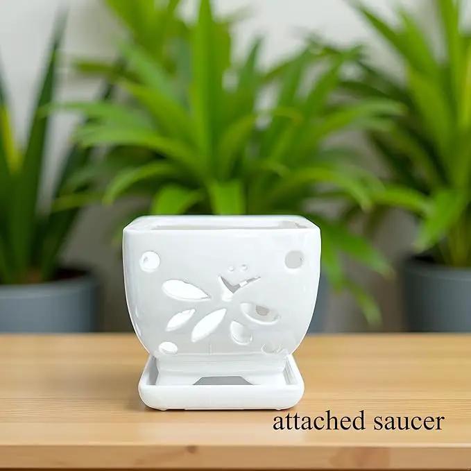 Orchid Pots with Holes Square Ceramic Orchid Planter Pots 5.5 inch (White) by GreenHaven Gardens