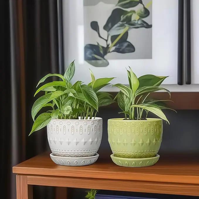 G EPGardening Ceramic Planter 5.5 Inch - Boho Plant Pot Indoor with Drainage Hole and Saucer, Round Flower Succulent Pot for Plants, Plant Lovers Gifts, Garden Office House Decor, Green by GreenHaven Gardens