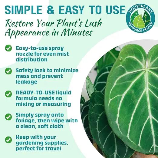 Houseplant Leaf Shine Spray – All-Natural Leaf Cleaner and Gloss for Healthy Shine & Better Photosynthesis | Perfect for House Plants and Foliage | 8 oz by GreenHaven Gardens